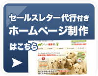 セールスレター代行付きホームページ制作はこちら